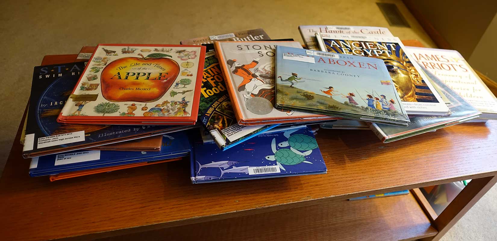 Learning to Love the Library – Blest the House